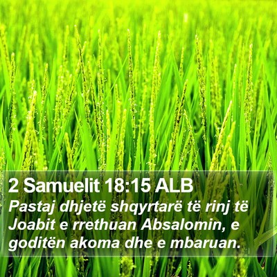 2 Samuelit 18:15 ALB Bible Verse Image