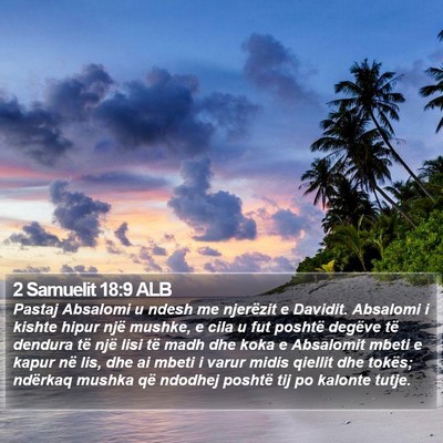2 Samuelit 18:9 ALB Bible Verse Image