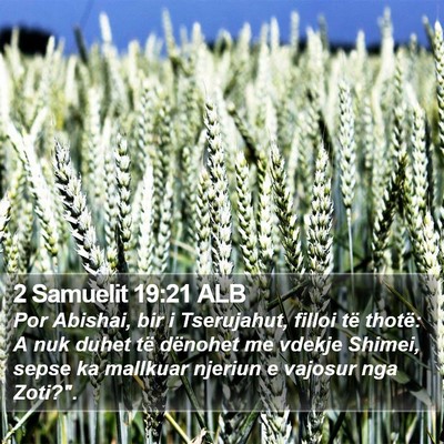 2 Samuelit 19:21 ALB Bible Verse Image