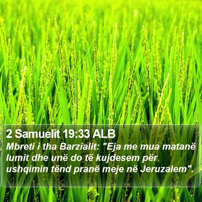 2 Samuelit 19:33 ALB Bible Verse Image