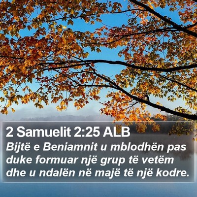2 Samuelit 2:25 ALB Bible Verse Image
