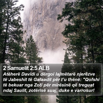 2 Samuelit 2:5 ALB Bible Verse Image