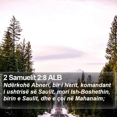 2 Samuelit 2:8 ALB Bible Verse Image