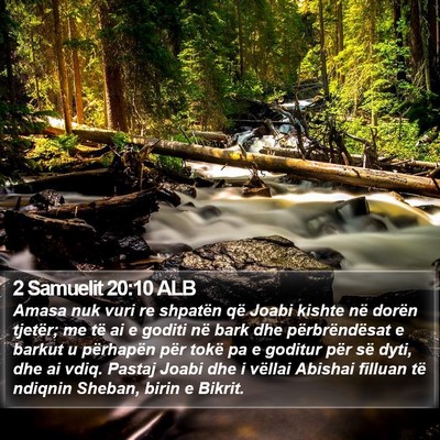 2 Samuelit 20:10 ALB Bible Verse Image