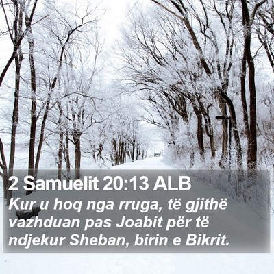 2 Samuelit 20:13 ALB Bible Verse Image