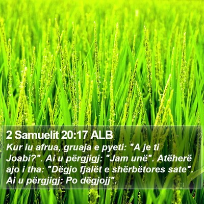 2 Samuelit 20:17 ALB Bible Verse Image