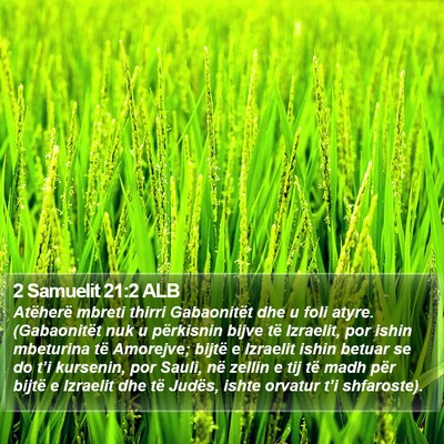 2 Samuelit 21:2 ALB Bible Verse Image