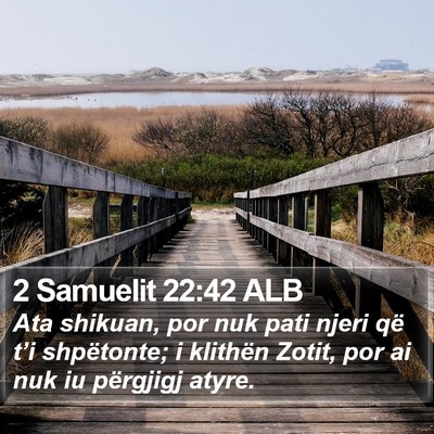 2 Samuelit 22:42 ALB Bible Verse Image