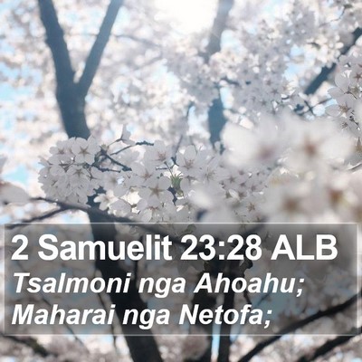 2 Samuelit 23:28 ALB Bible Verse Image