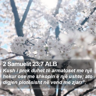 2 Samuelit 23:7 ALB Bible Verse Image