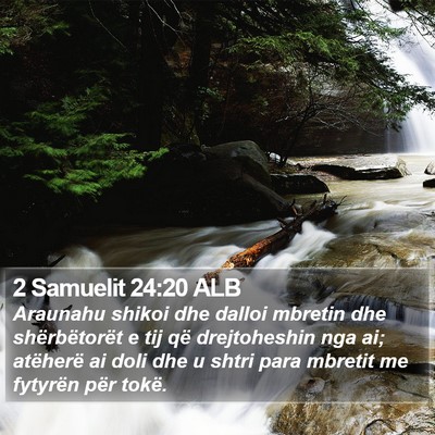 2 Samuelit 24:20 ALB Bible Verse Image