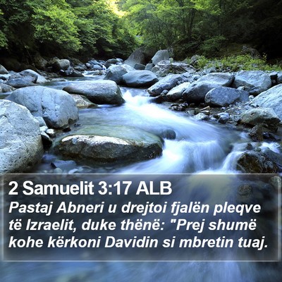 2 Samuelit 3:17 ALB Bible Verse Image