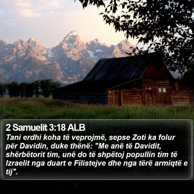2 Samuelit 3:18 ALB Bible Verse Image