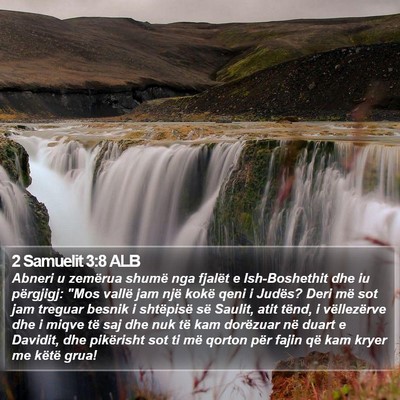 2 Samuelit 3:8 ALB Bible Verse Image