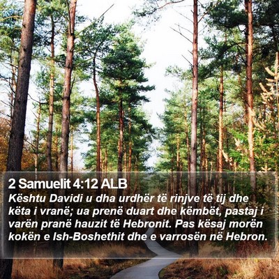 2 Samuelit 4:12 ALB Bible Verse Image