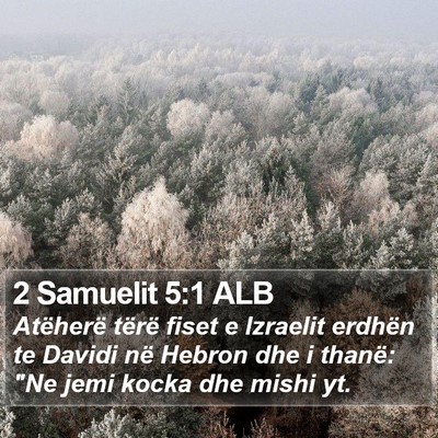 2 Samuelit 5:1 ALB Bible Verse Image