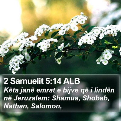 2 Samuelit 5:14 ALB Bible Verse Image
