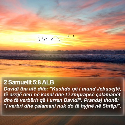 2 Samuelit 5:8 ALB Bible Verse Image