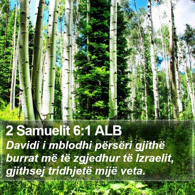 2 Samuelit 6:1 ALB Bible Verse Image