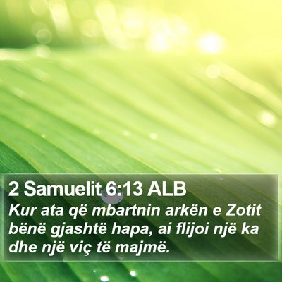 2 Samuelit 6:13 ALB Bible Verse Image