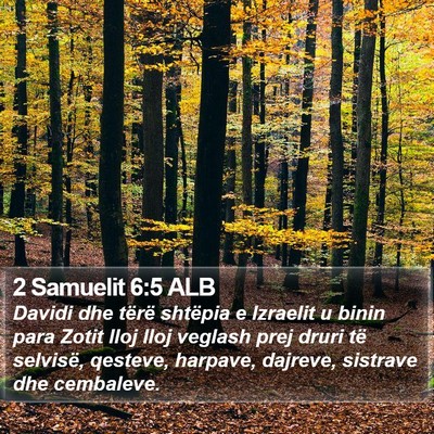 2 Samuelit 6:5 ALB Bible Verse Image