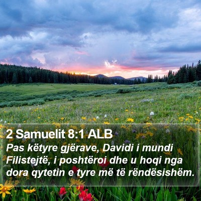 2 Samuelit 8:1 ALB Bible Verse Image
