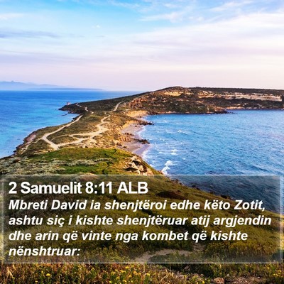 2 Samuelit 8:11 ALB Bible Verse Image