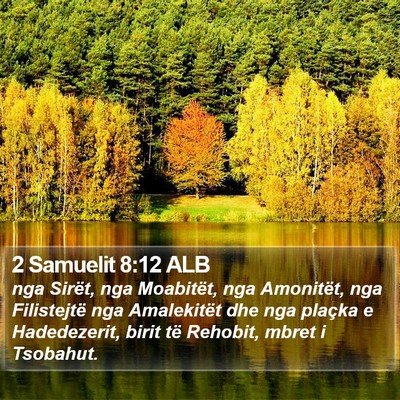 2 Samuelit 8:12 ALB Bible Verse Image