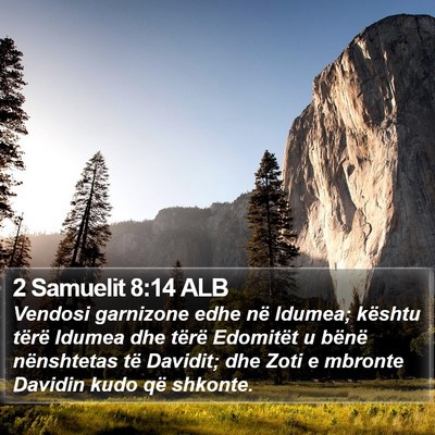 2 Samuelit 8:14 ALB Bible Verse Image