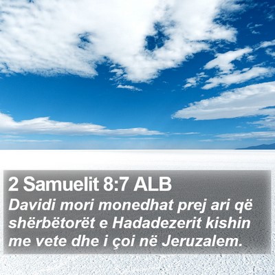 2 Samuelit 8:7 ALB Bible Verse Image