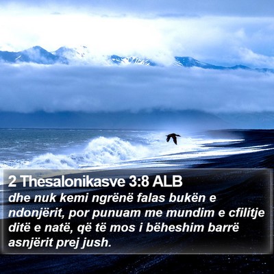 2 Thesalonikasve 3:8 ALB Bible Verse Image