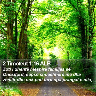 2 Timoteut 1:16 ALB Bible Verse Image