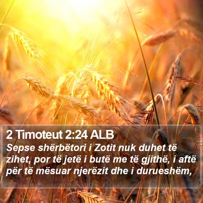 2 Timoteut 2:24 ALB Bible Verse Image
