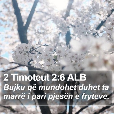 2 Timoteut 2:6 ALB Bible Verse Image