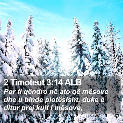 2 Timoteut 3:14 ALB Bible Verse Image