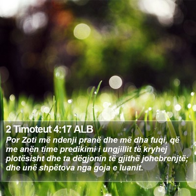 2 Timoteut 4:17 ALB Bible Verse Image