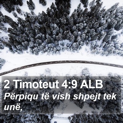 2 Timoteut 4:9 ALB Bible Verse Image