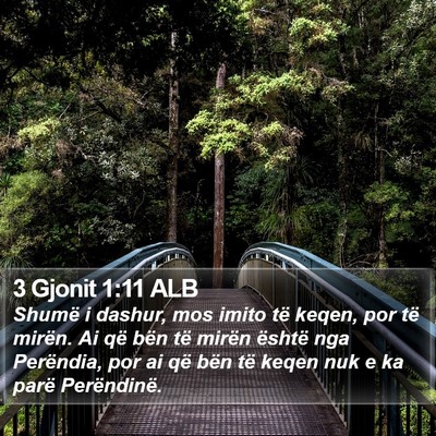 3 Gjonit 1:11 ALB Bible Verse Image