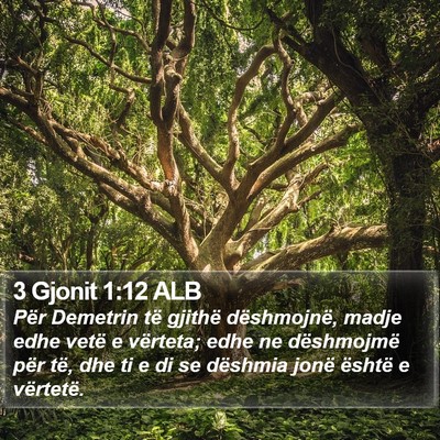 3 Gjonit 1:12 ALB Bible Verse Image