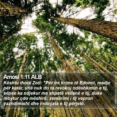 Amosi 1:11 ALB Bible Verse Image