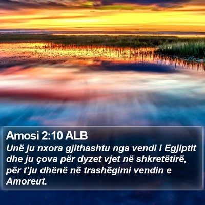 Amosi 2:10 ALB Bible Verse Image