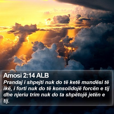 Amosi 2:14 ALB Bible Verse Image