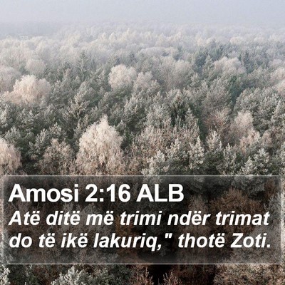 Amosi 2:16 ALB Bible Verse Image
