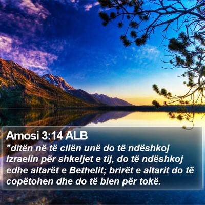 Amosi 3:14 ALB Bible Verse Image
