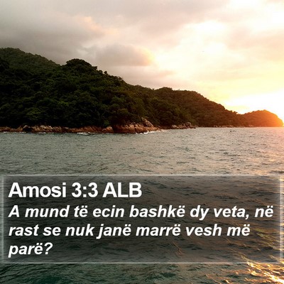 Amosi 3:3 ALB Bible Verse Image