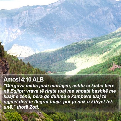 Amosi 4:10 ALB Bible Verse Image