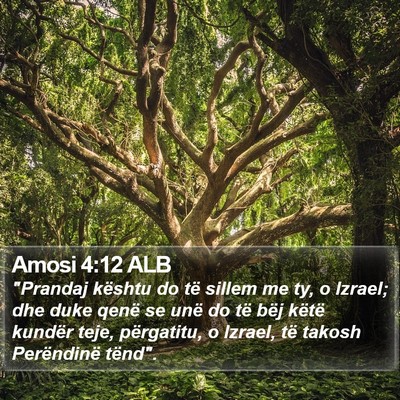 Amosi 4:12 ALB Bible Verse Image
