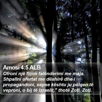 Amosi 4:5 ALB Bible Verse Image