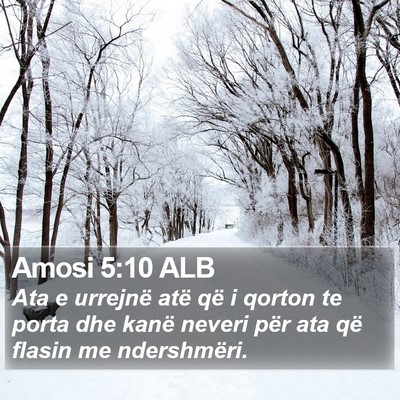 Amosi 5:10 ALB Bible Verse Image