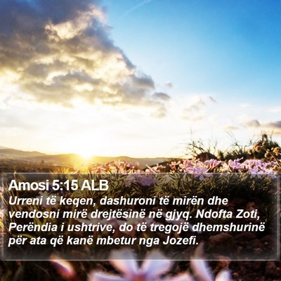 Amosi 5:15 ALB Bible Verse Image